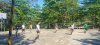 Éxito en el Preselectivo de Voleibol Varonil en la Escuela de Contaduría y Administración Campus VII Pichucalco