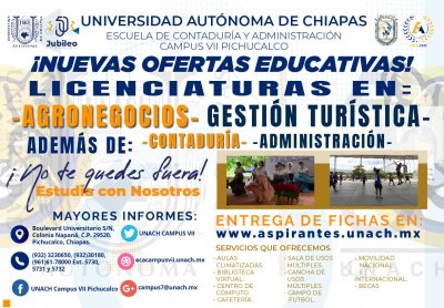 NUEVAS LICENCIATURAS